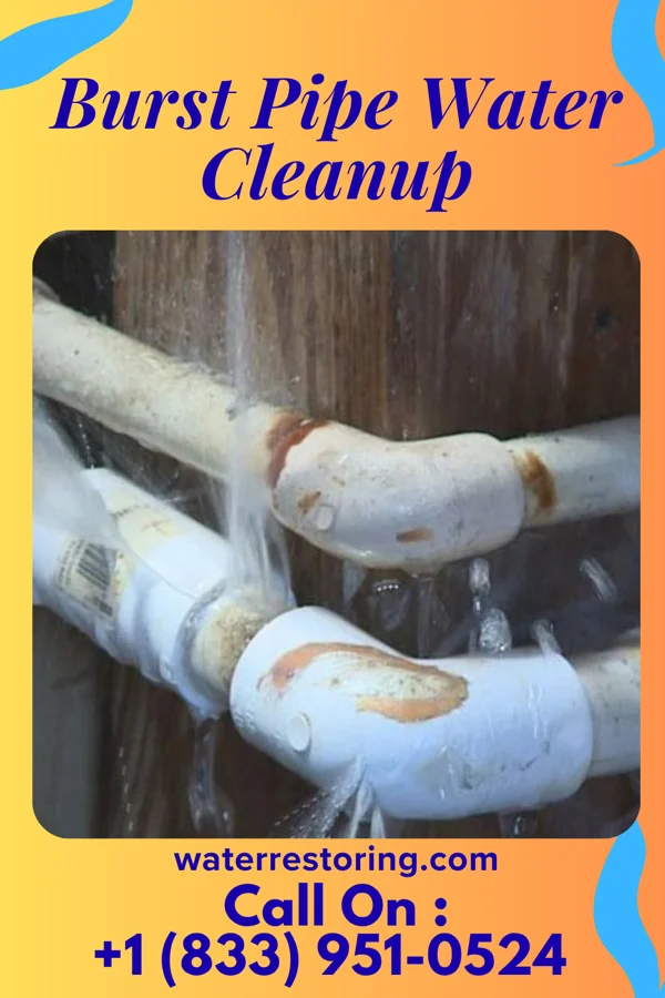 Burst Pipe Water Cleanup in Green Ridge, MO