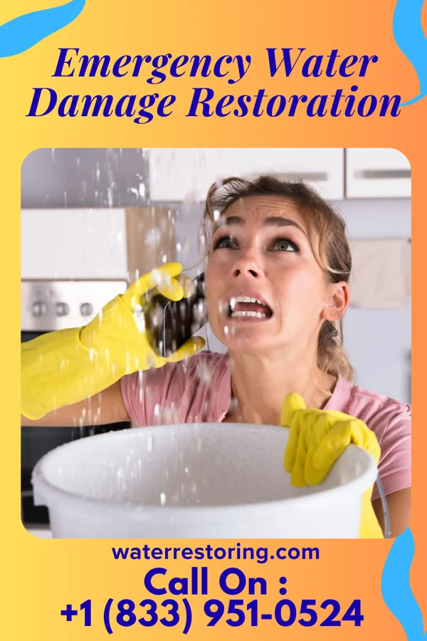 Emergency Water Damage Restoration in Green Ridge, MO