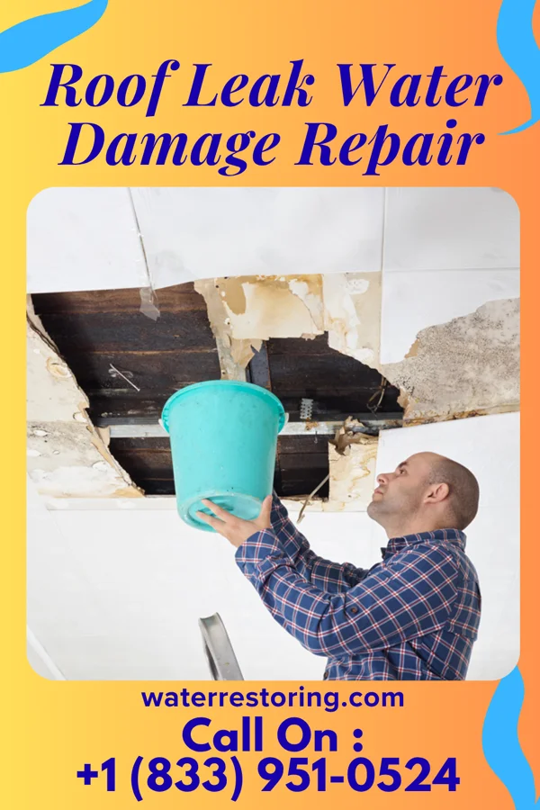Roof Leak Water Damage Repair in Green Ridge, MO