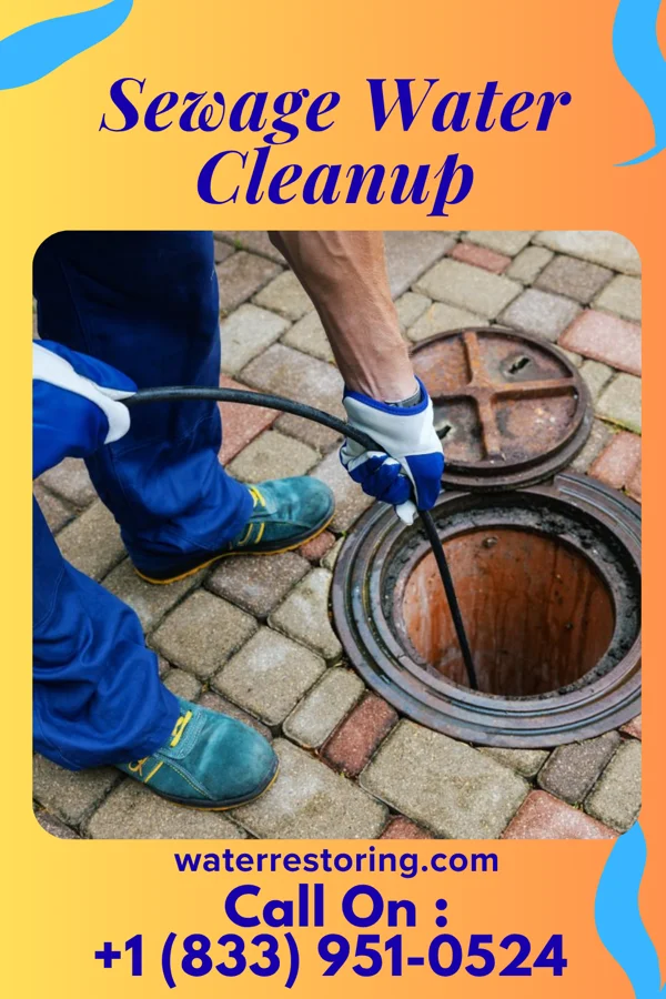 Sewage Water Cleanup in Green Ridge, MO