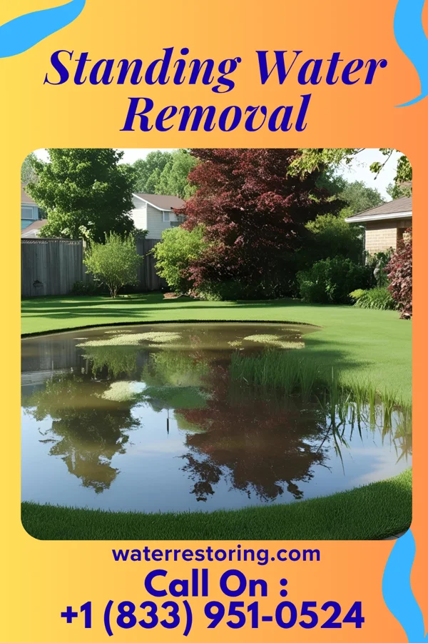 Standing Water Removal in Green Ridge, MO